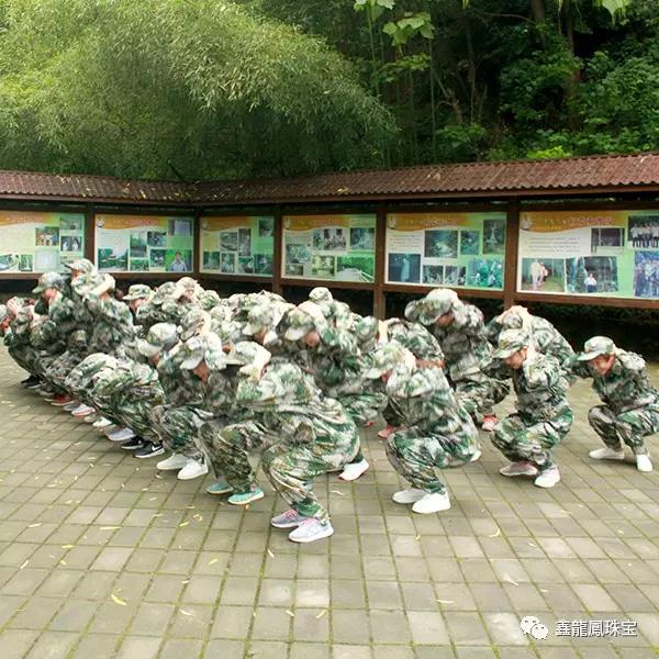 1501664402269594.jpg 10.jpg