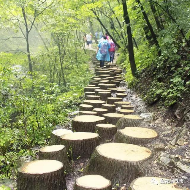 1501664776114563.jpg 30.jpg